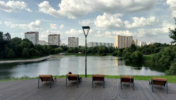 Парк рядом с Большим Очаковским прудом, Москва (2020 год)
