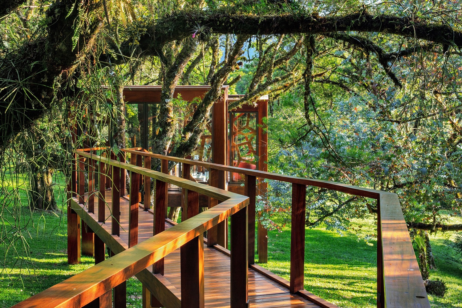 Студия MEMM создаёт Tree House в Бразилии, чтобы раскрыть «игривую внутреннюю сущность»