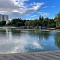 Коньковские пруды, Москва 2022 г. - фото от Punto Group