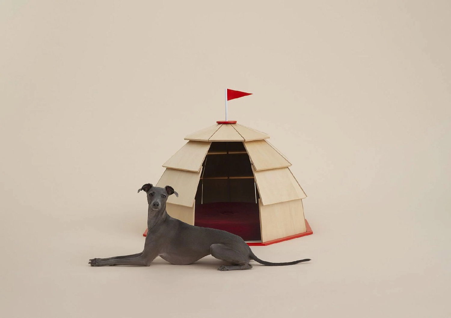 Кенго Кума и Сигеру Бан проектируют вольеры для выставки Architecture for Dogs в Милане